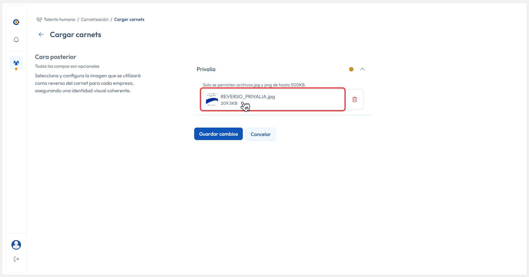 Visualización de la imagen cargada
